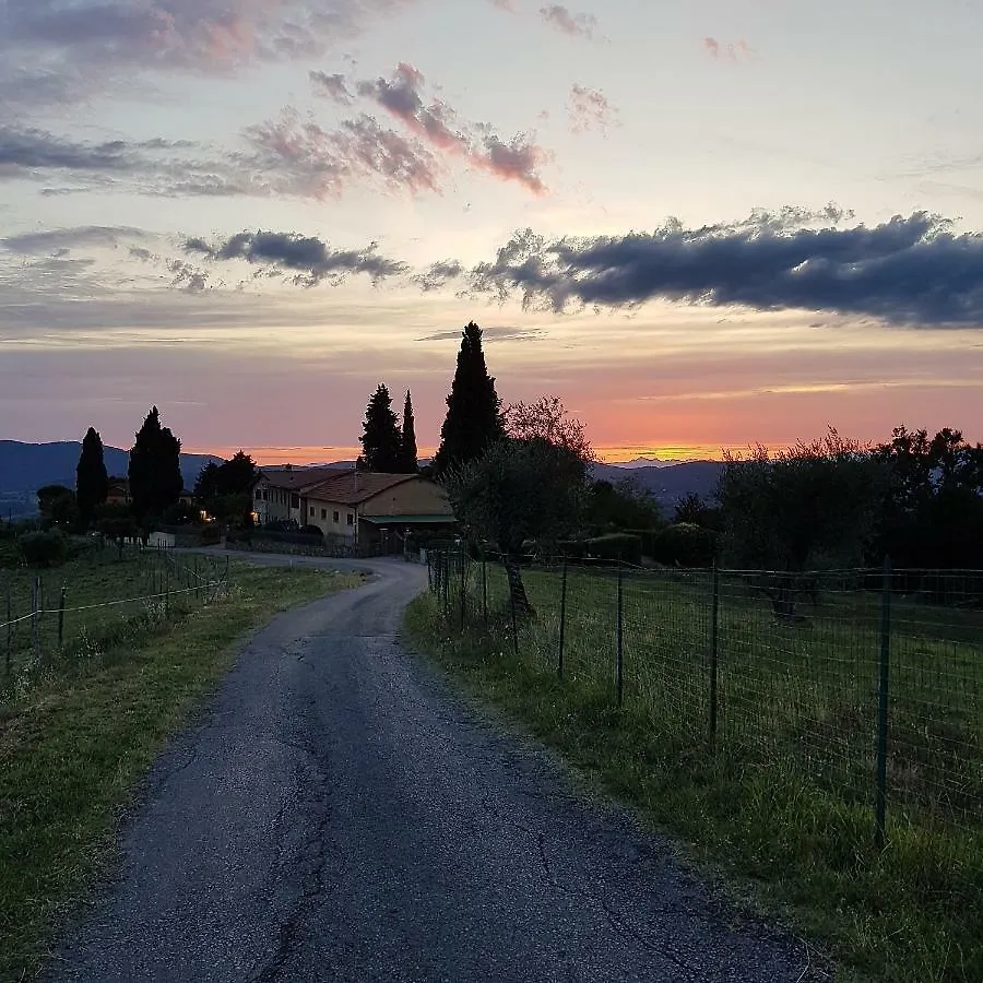 Podere Piana Reggello 0*,