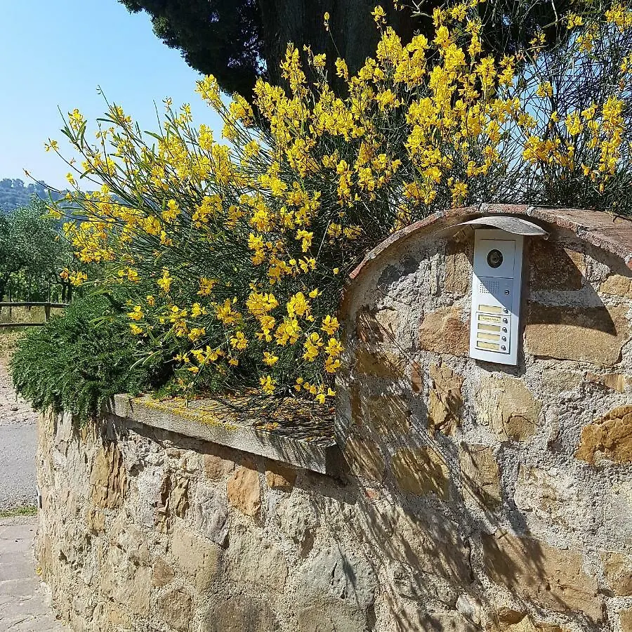 Podere Piana Reggello